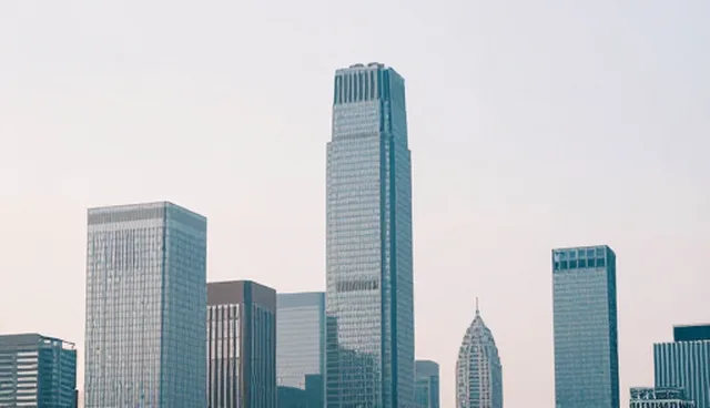 域名管理中的限制条件检查要点解析